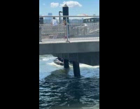 Submitter shows guy drives jet ski at Williamsburg