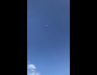 Black shirt guy blue white black parachute 