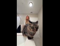 Woman arguing with cat in bathroom 
