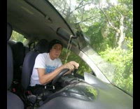 Wounded eagle falls into guys car and then stares at the guy