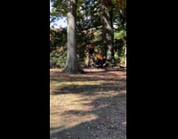 Couple as pumpkin heads doing photoshoot 