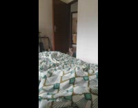 Girl plays cat meowing video on laptop