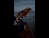 Dog paddles while held up on boat
