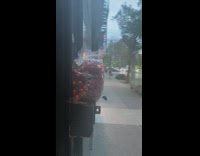 Cherries found on store entrance 