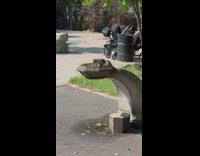 Birds take bath on water at park